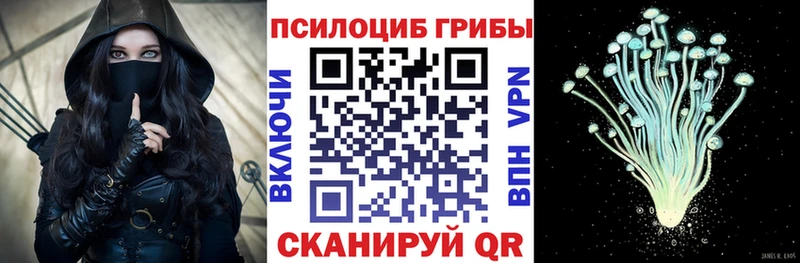 Псилоцибиновые грибы ЛСД  купить наркоту  Гусиноозёрск 